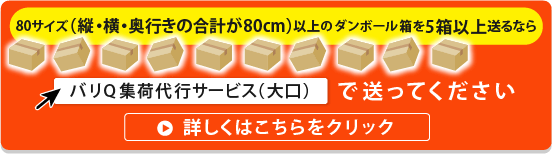 詳しくはこちら